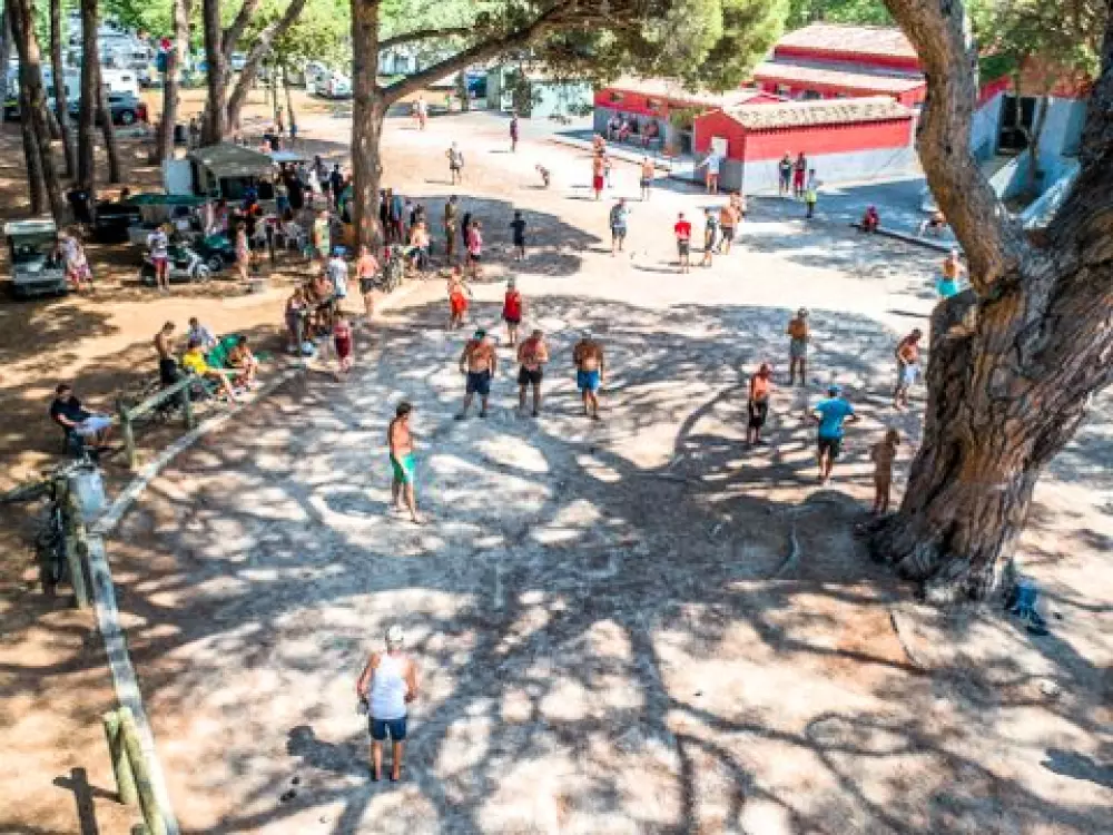 Camping De Saint Aygulf Plage 4 Stars★★★★