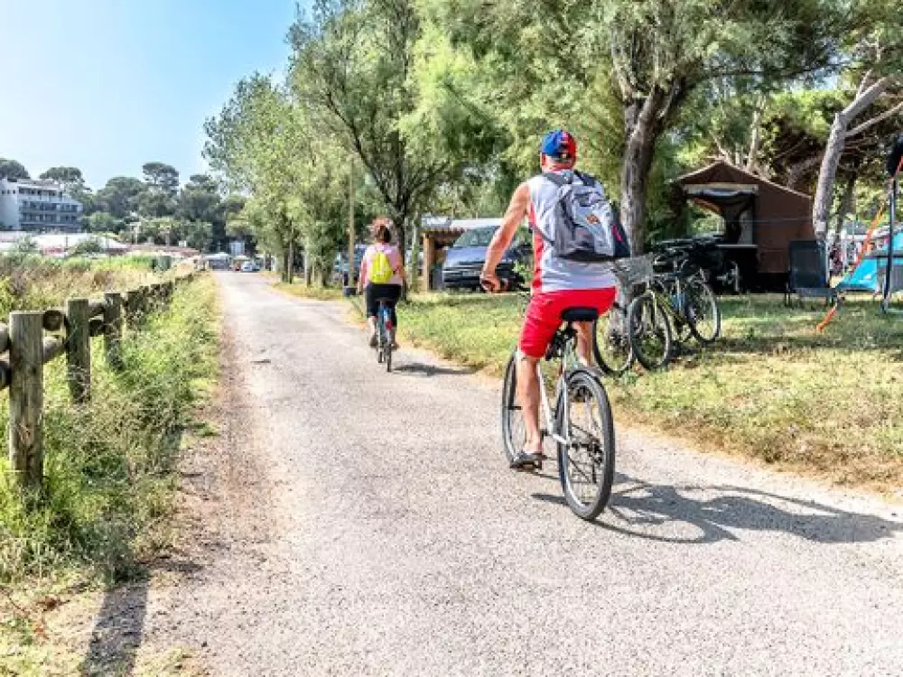 Camping De Saint Aygulf Plage 4 Stars★★★★