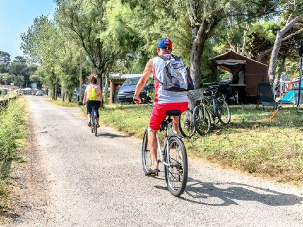 Camping De Saint Aygulf Plage 4 Stars★★★★