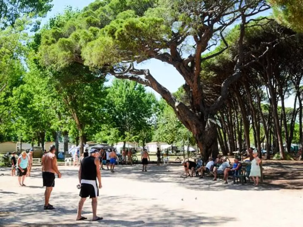 Camping De Saint Aygulf Plage 4 Stars★★★★