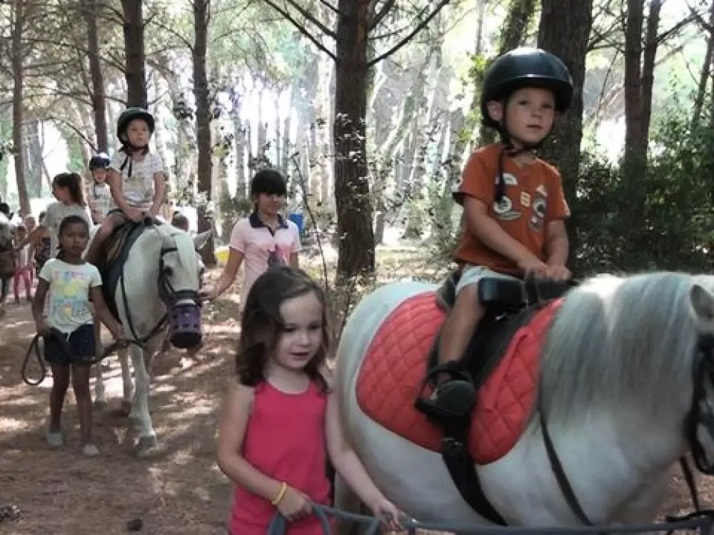 Camping De Saint Aygulf Plage 4 Stars★★★★