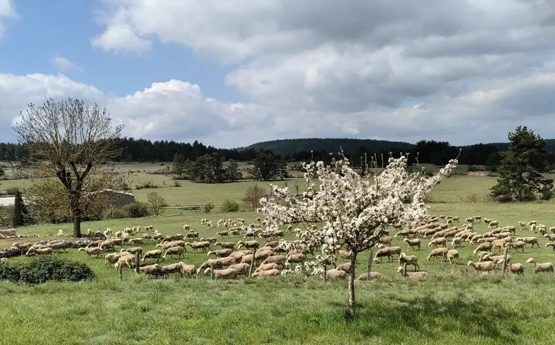Gîte de France Ecogîte de l'adonis 3 Ohren