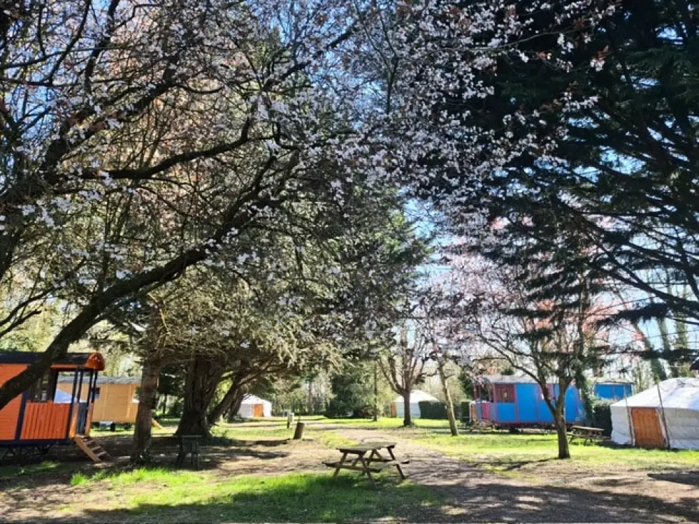 Niezwykła wioska 1 Gwiazdy★