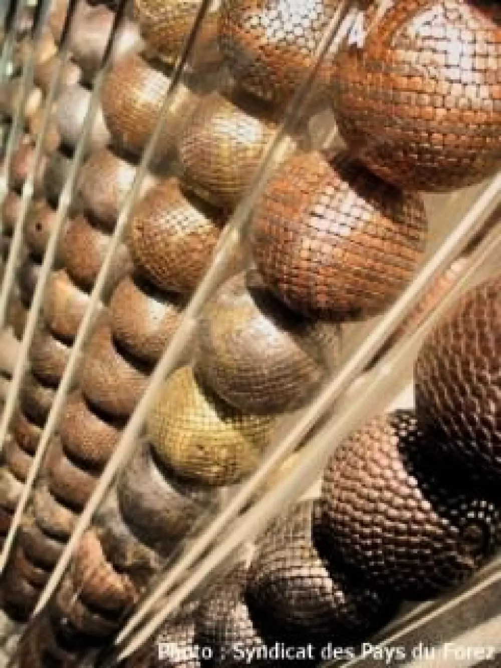 Camping de la Belle Etoile 3 Sterne★★★