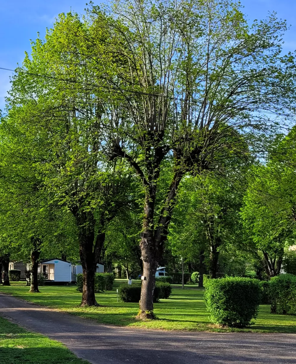 Campingplatz Le Soulhol 3 Sterne★★★