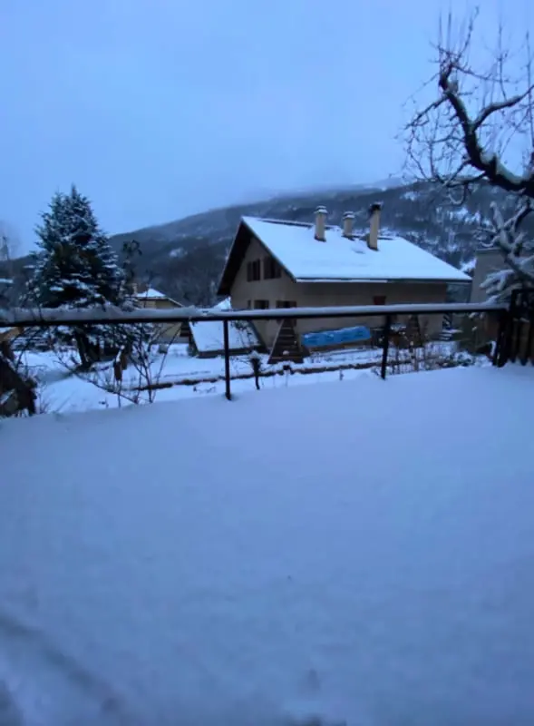 Śnieżynka w sercu Alp