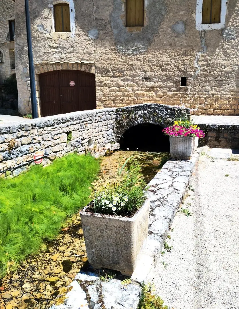 Gîte de France Gîte amélie 3/5 pers in Saint-chély-du-tarn 2 Ohren