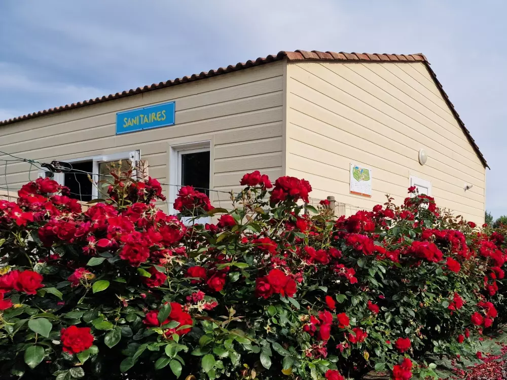 Camping Paradis Domaine de Bellevue3 Sterren★★★