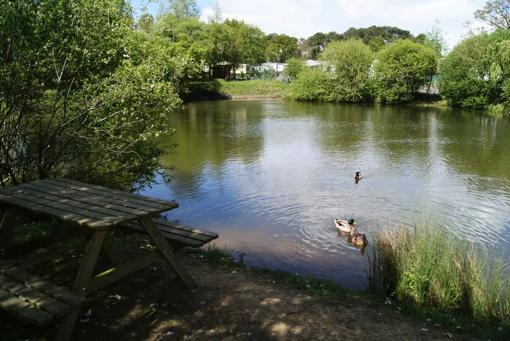 Camping Paradis Domaine de Bellevue3 Sterren★★★