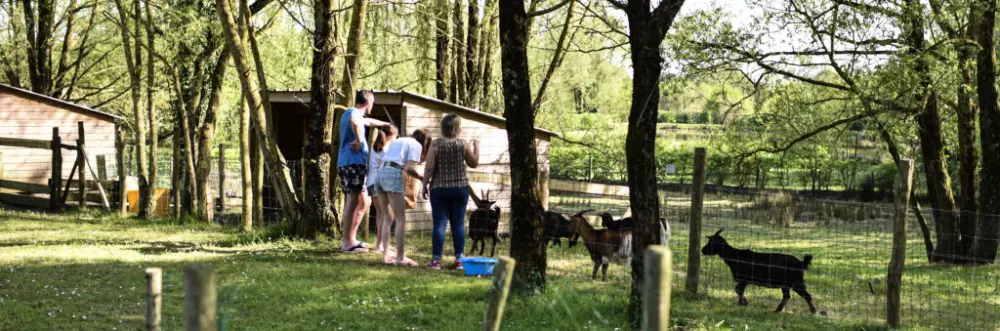 Camping Paradis Domaine de Bellevue3 Sterren★★★