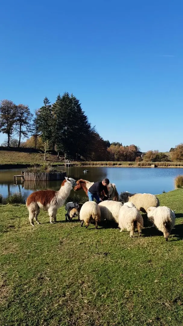 Gîte de France Laclefdeschamps 3 oren