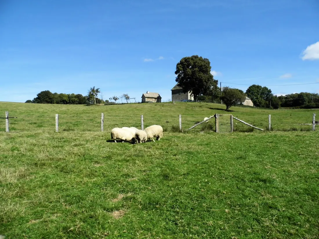 Gîte de France Laclefdeschamps 3 oren