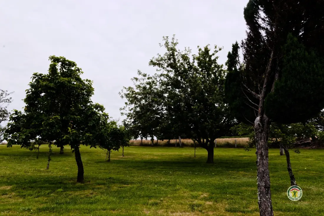 Gîte de France Laclefdeschamps 3 oren