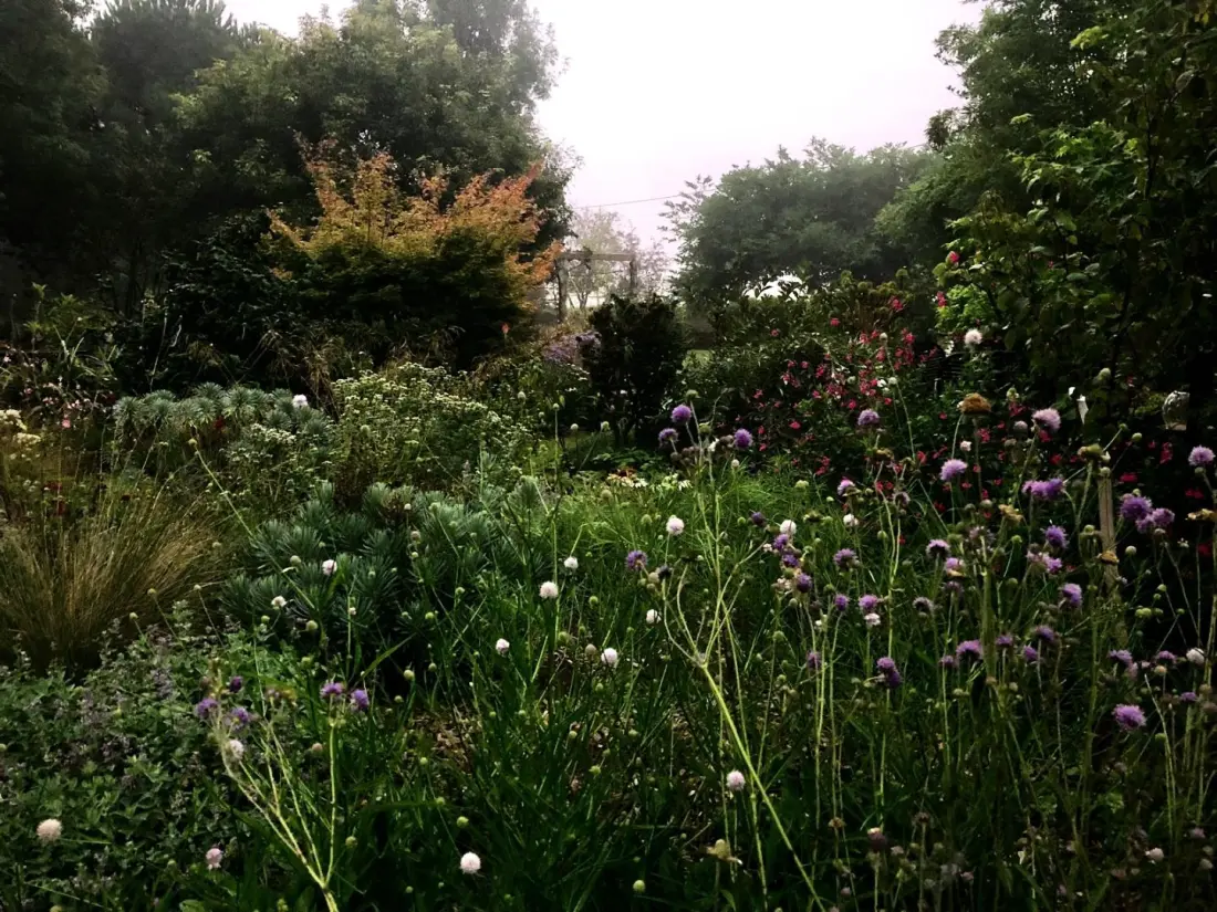Gîte de France De rulinen – 4-Ähren-Obstgartenseite