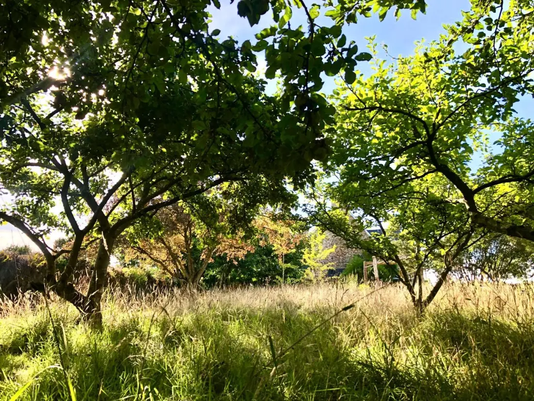 Gîte de France De rulinen – 4-Ähren-Obstgartenseite