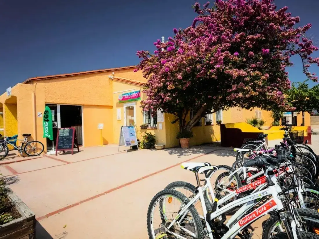 Campsite Le Roussillon 4 Stars★★★★