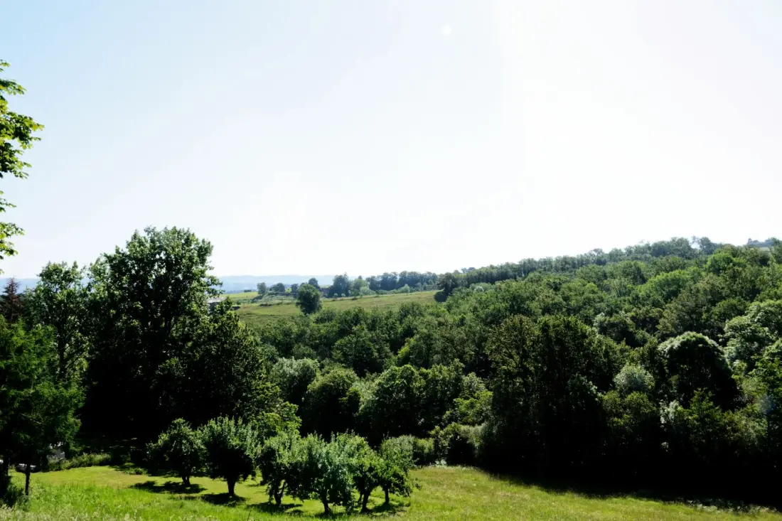 Gîte de France De 2 oren palinières