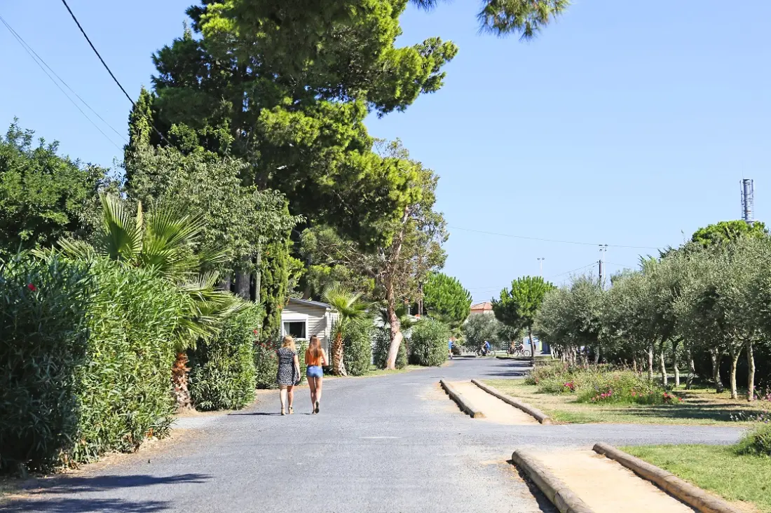 Camping Le Bosc 41 Sterren★