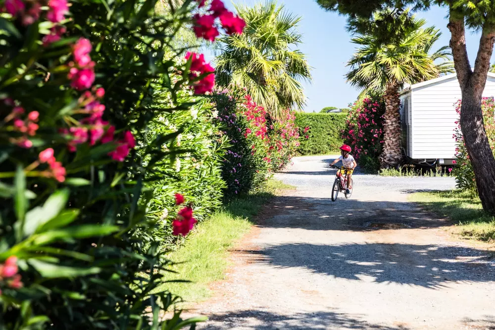 Camping Le Soleil de la Méditerranée