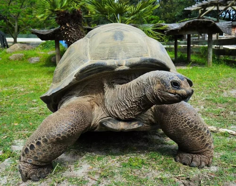 Camping Le Soleil de la Méditerranée
