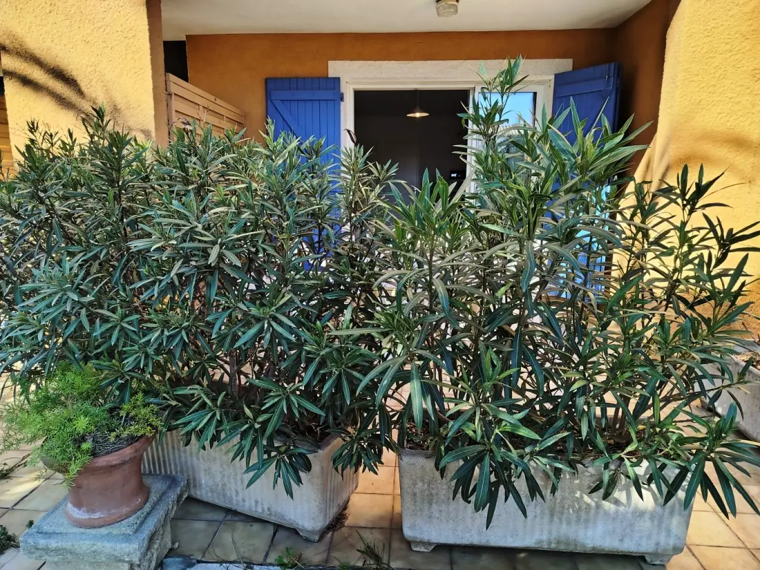 Residence 5riche23-as Cyprien Beach