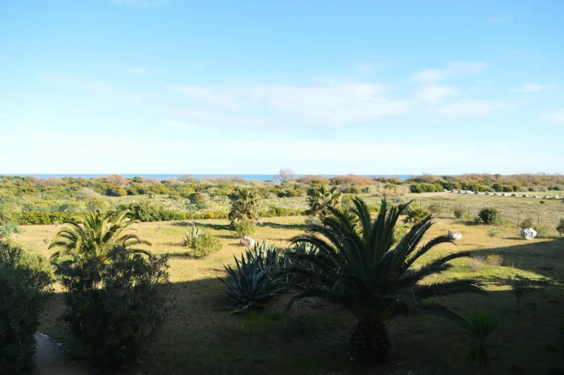 Residence Catalona
