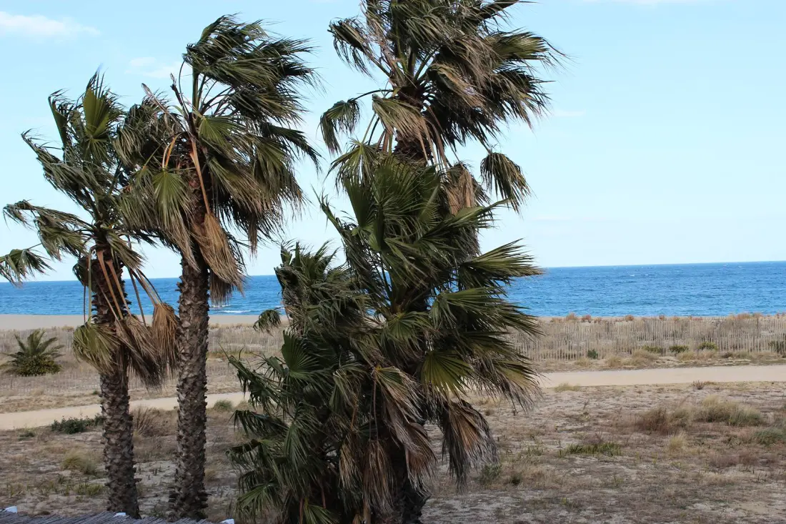 Residence Lagune Et Mer