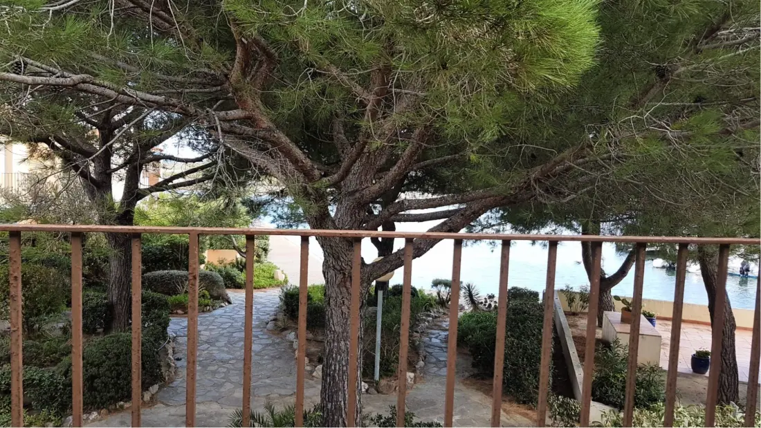Residence Marinas 1