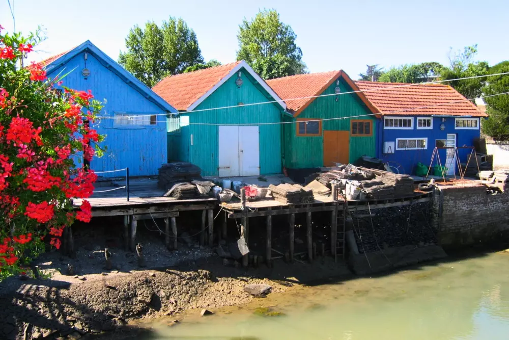 Campingplatz Les Beaupins 31 Sterne★