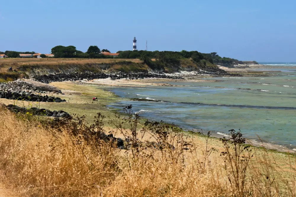 Campingplatz Les Beaupins 31 Sterne★