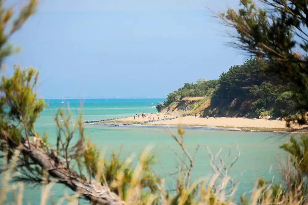 Campingplatz Les Beaupins 31 Sterne★