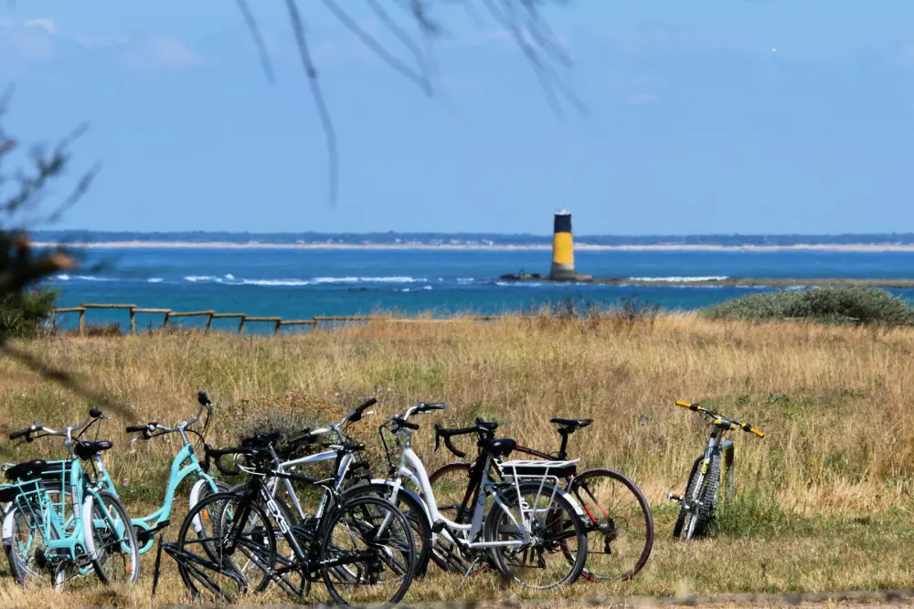 Campingplatz Les Beaupins 31 Sterne★