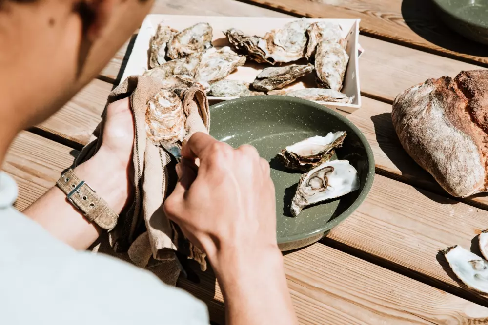 Champion Castle - Parcel Tiny House