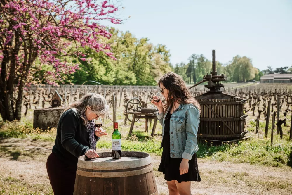 Champion Castle - Parcel Tiny House