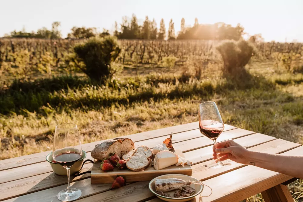 Champion Castle - Parcel Tiny House