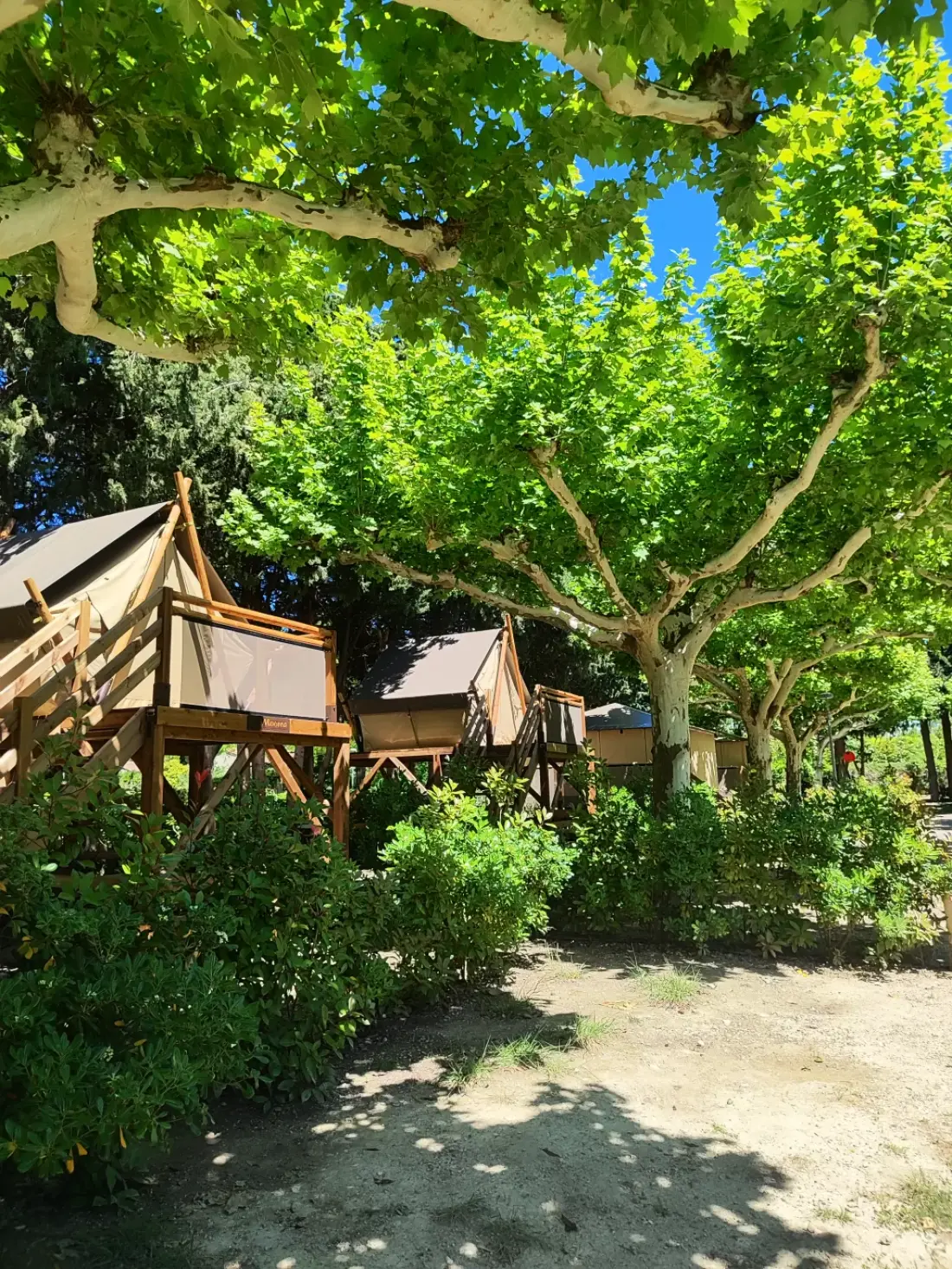 Campingplatz Porte des Alpilles2 Sterne★★