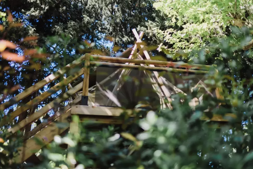 Camping Porte des Alpilles3 étoiles★★★