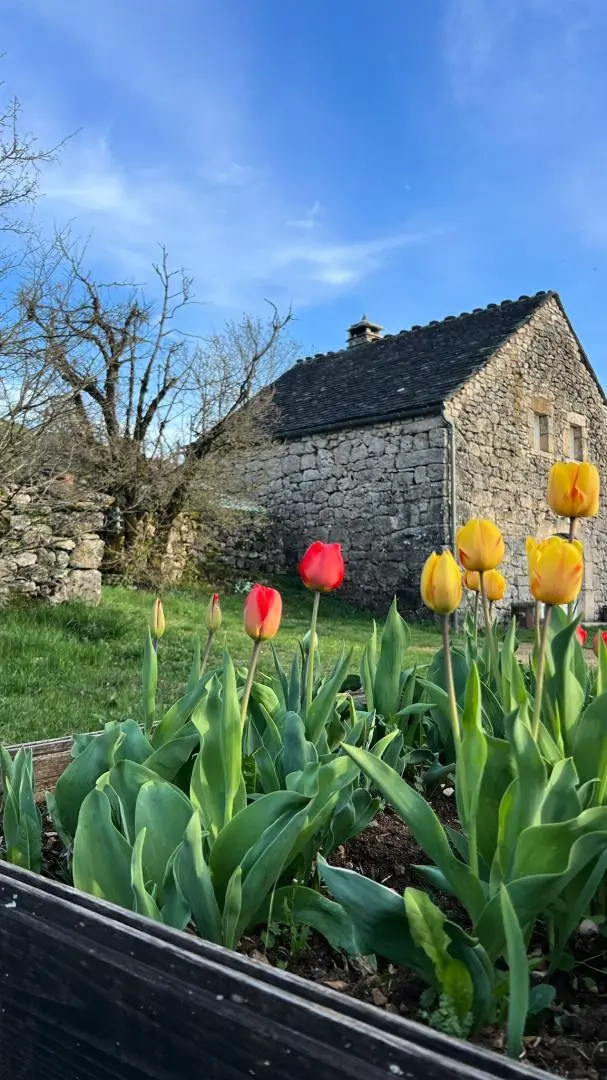 Gîte de France Das Haus caussenard mit der bazalgette 3 Ohren