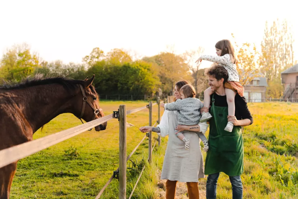 Jardins de la Thillaye - Parcel Tiny House