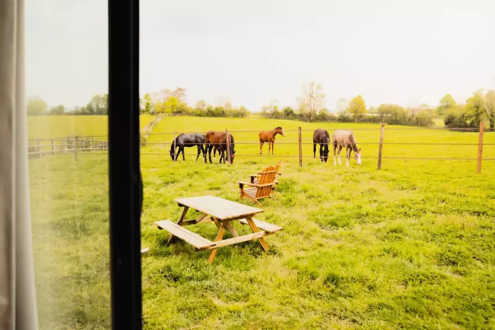 Jardins de la Thillaye - Parcel Tiny House