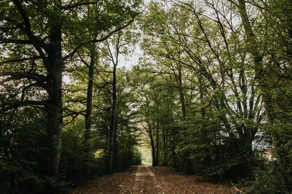 Domaine de L'Atére - Parcel Tiny House