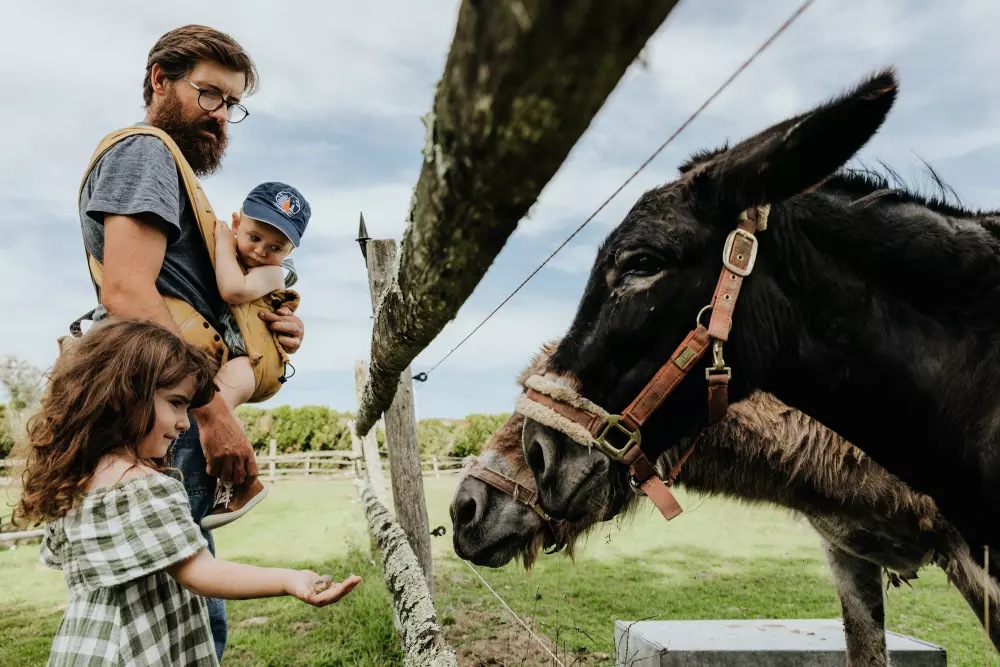 Domaine de L'Atére - Parcel Tiny House