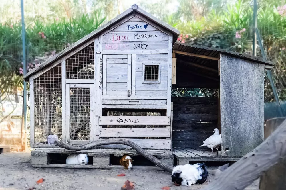 Camping U Pezzo2 Stjerner★★