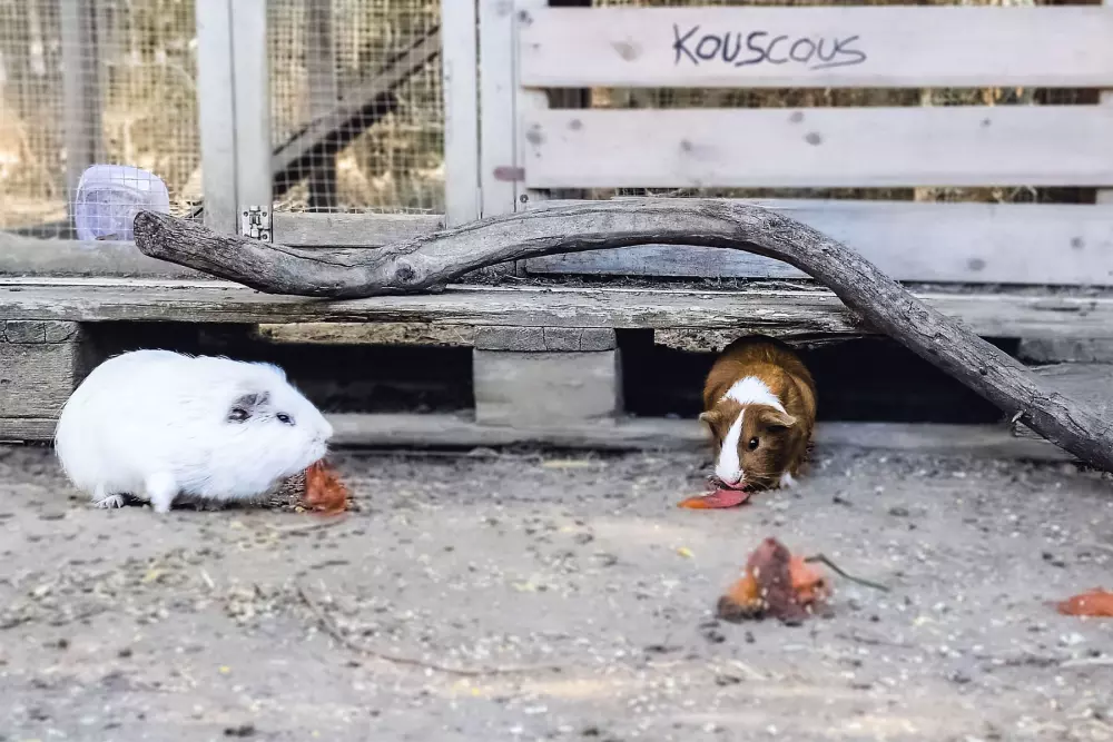 Camping U Pezzo2 Stjerner★★