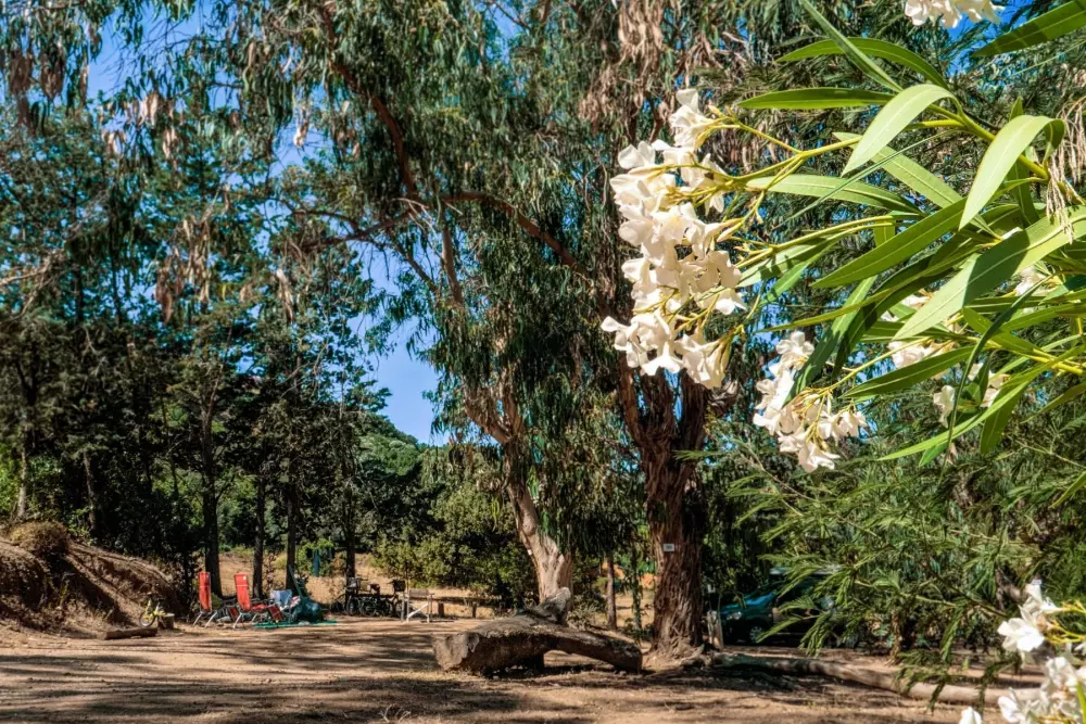 Camping U Pezzo2 Stjerner★★