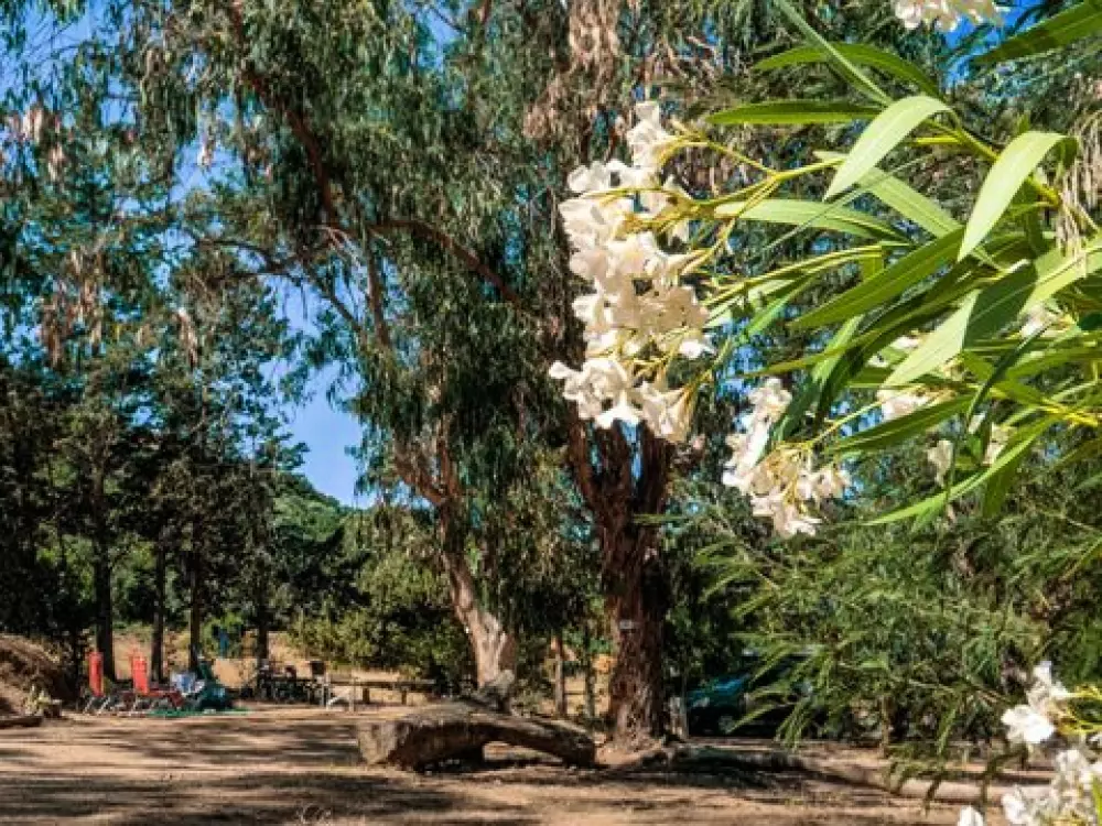 Camping U Pezzo 2 Stelle★★