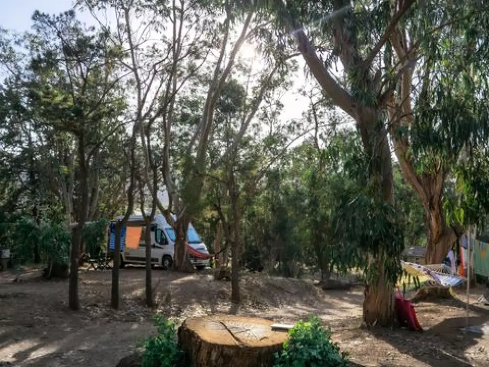 Camping U Pezzo 2 Stelle★★