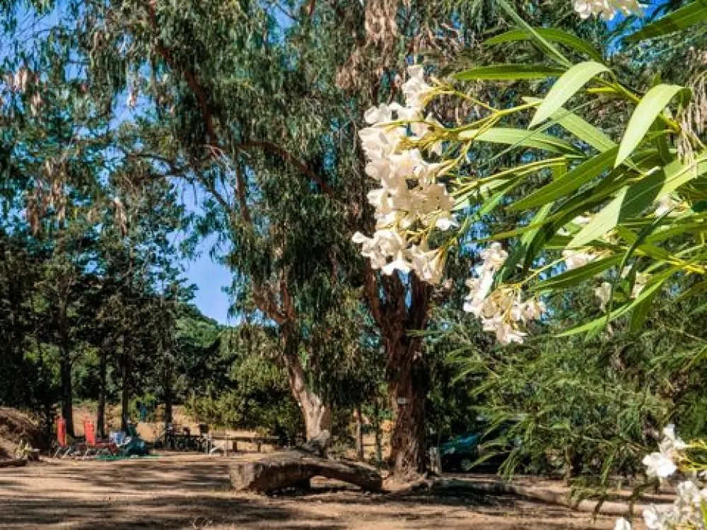 Campingplatz U Pezzo 2 Sterne★★