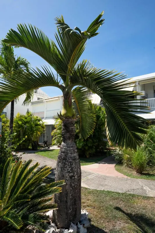 Apartman A archipelago