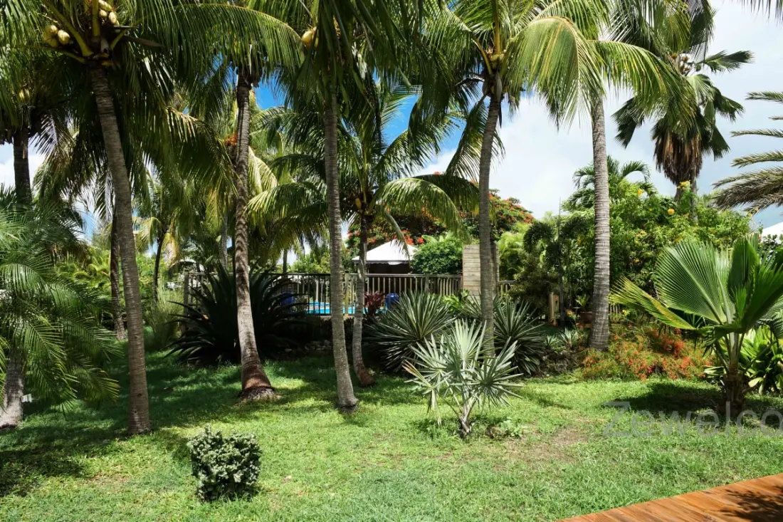 Bungaló Pitaya
